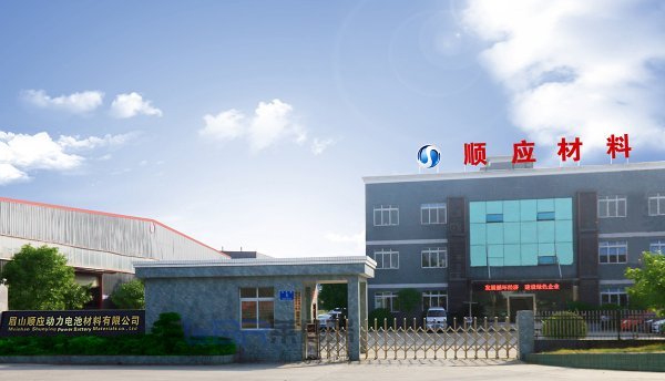 順應(yīng)動(dòng)力電池